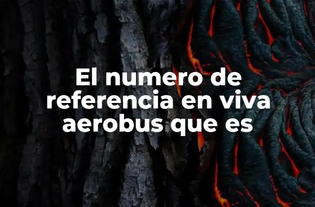 El Numero de Referencia en Viva Aerobus que es