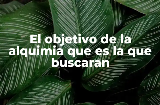 El Objetivo de la Alquimia que es la que Buscaran