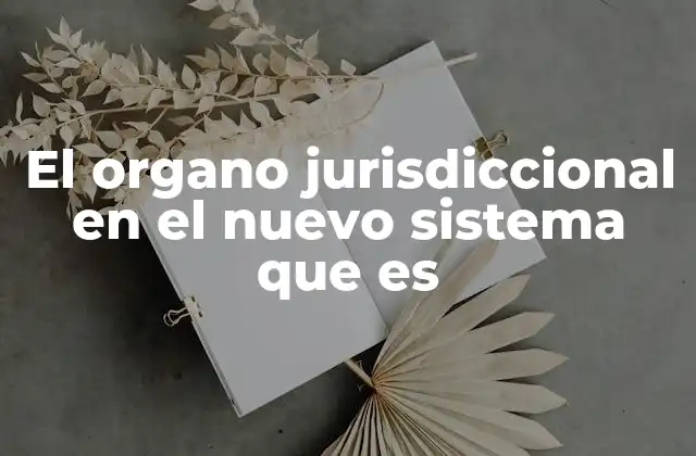 El Organo Jurisdiccional en el Nuevo Sistema que es