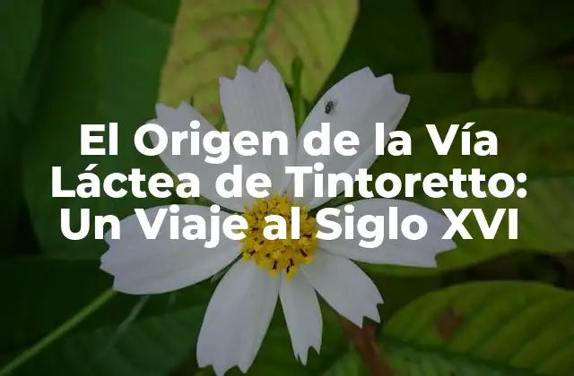 El Origen de la Vía Láctea de Tintoretto: un Viaje Al Siglo Xvi