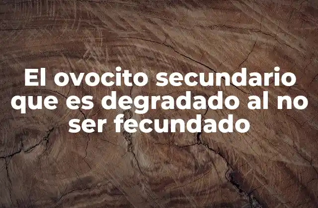 El Ovocito Secundario que es Degradado Al No Ser Fecundado