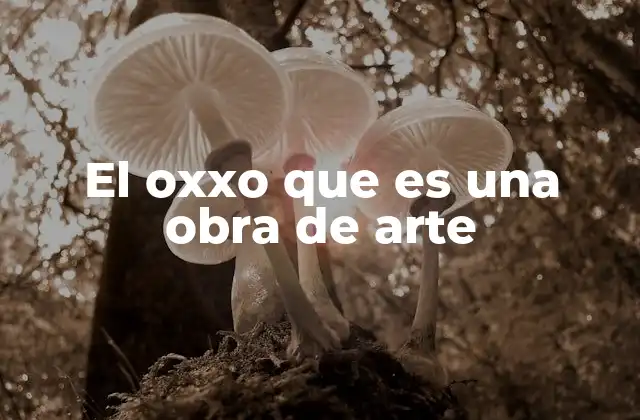 El Oxxo que es una Obra de Arte