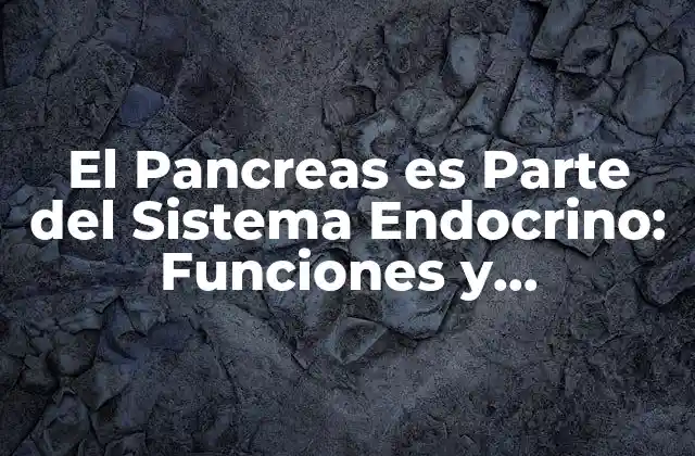 El Pancreas es Parte Del Sistema Endocrino: Funciones y Importancia