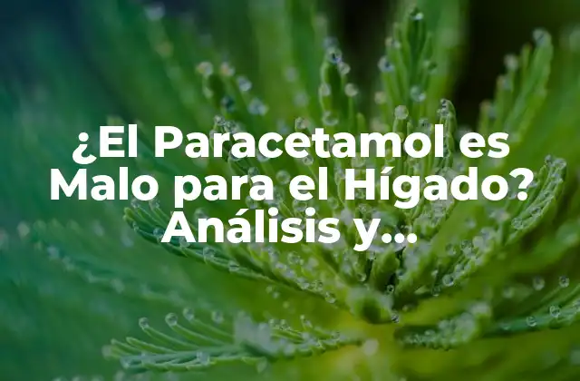 ¿el Paracetamol es Malo para el Hígado? Análisis y Consecuencias