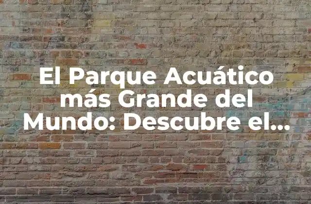El Parque Acuático Más Grande Del Mundo: Descubre el Lugar Más Emocionante