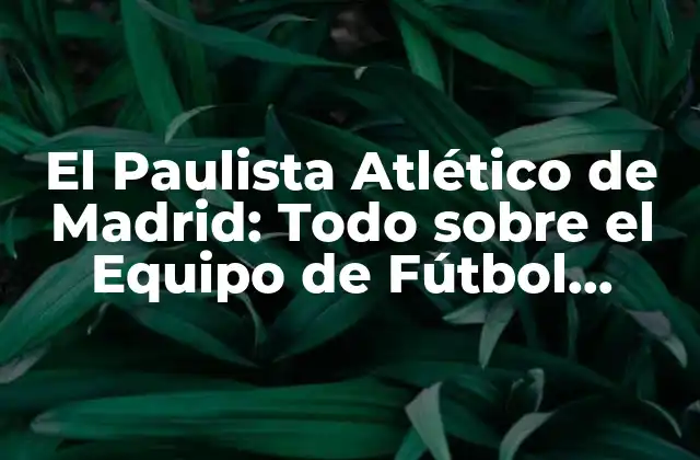 El Paulista Atlético de Madrid: Todo sobre el Equipo de Fútbol Brasileño
