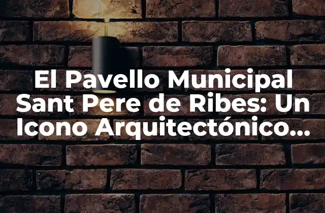 Historia del Pavello Municipal Sant Pere de Ribes