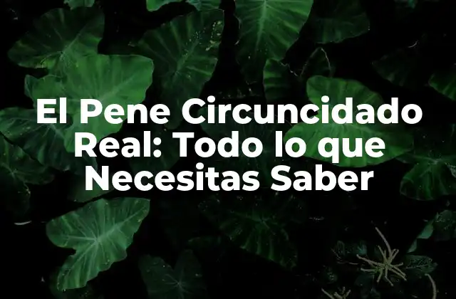 El Pene Circuncidado Real: Todo Lo que Necesitas Saber