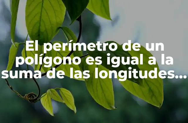 El Perímetro de un Polígono es Igual a la Suma de las Longitudes de Sus Lados