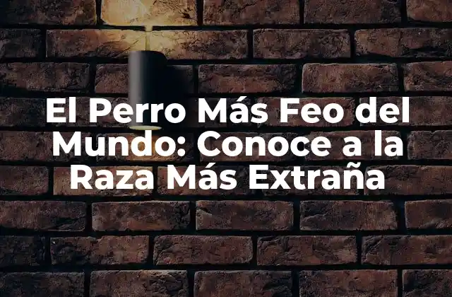 El Perro Más Feo Del Mundo: Conoce a la Raza Más Extraña