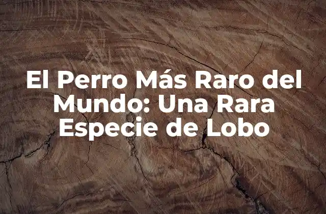 El Perro Más Raro Del Mundo: una Rara Especie de Lobo