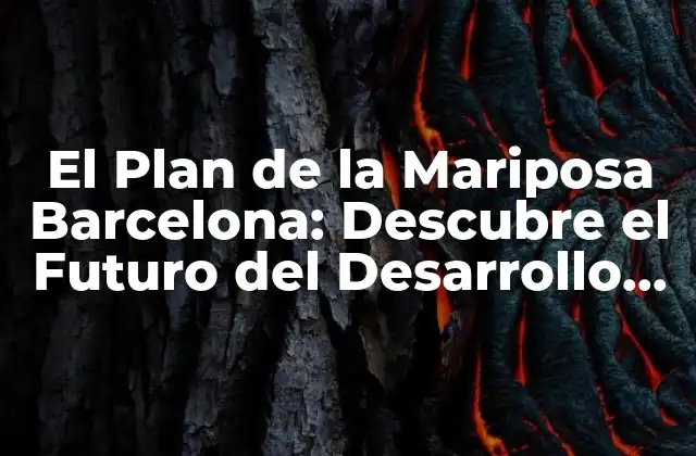 El Plan de la Mariposa Barcelona: Descubre el Futuro Del Desarrollo Urbano Sostenible
