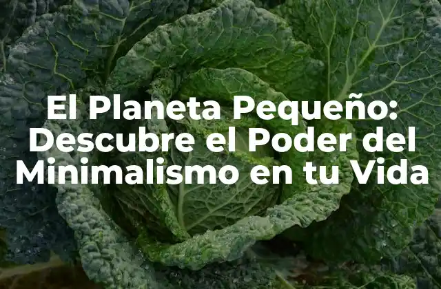 El Planeta Pequeño: Descubre el Poder Del Minimalismo en Tu Vida