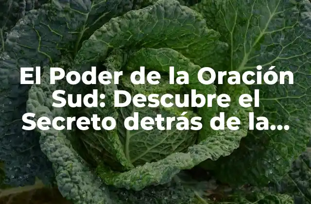 El Poder de la Oración Sud: Descubre el Secreto Detrás de la Mayor Fuerza Espiritual