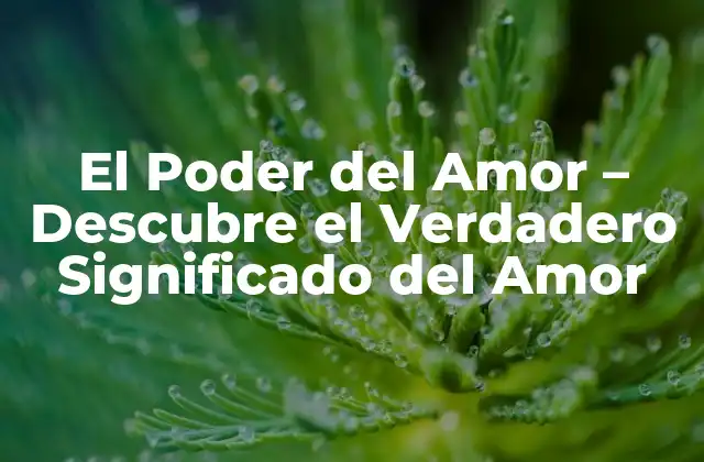 El Poder Del Amor - Descubre el Verdadero Significado Del Amor 2 ¿Qué es el Amor? - Una Definición Compleja