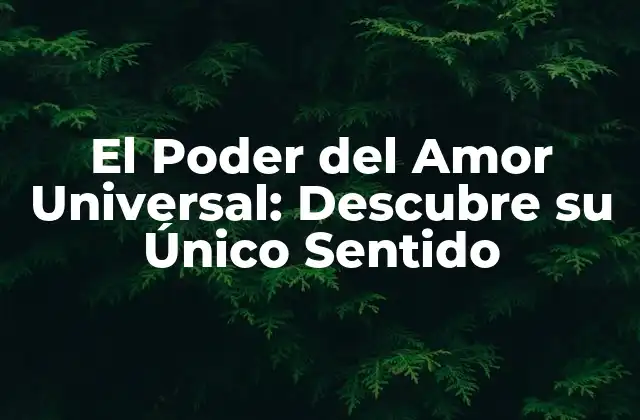El Poder Del Amor Universal: Descubre Su Único Sentido 2 ¿Qué es el Amor Universal?