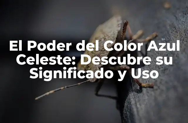 El Poder Del Color Azul Celeste: Descubre Su Significado y Uso
