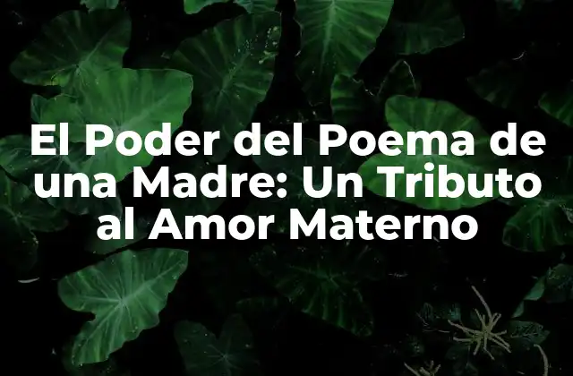 El Poder Del Poema de una Madre: un Tributo Al Amor Materno 2 ¿Qué es un Poema de una Madre?