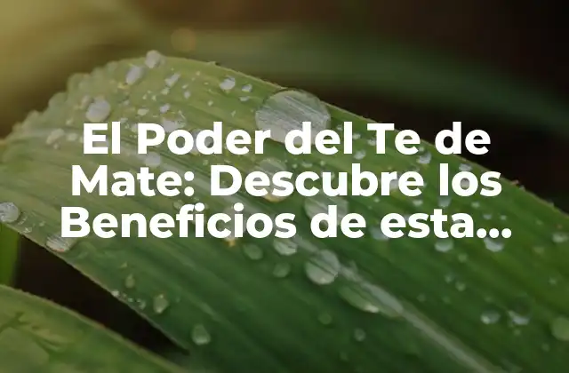 El Poder Del Te de Mate: Descubre los Beneficios de Esta Bebida Sudamericana