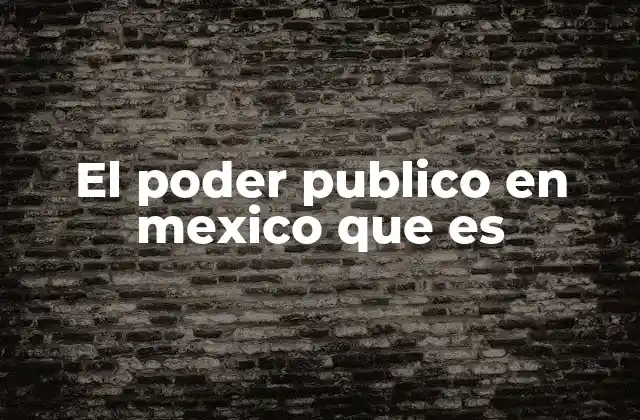El Poder Publico en Mexico que es