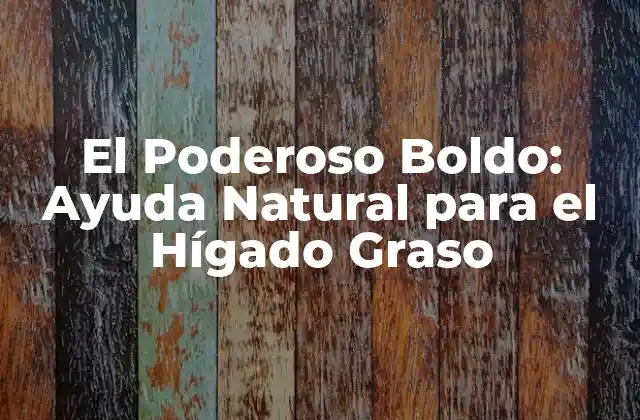 ¿Qué es el Boldo y Cómo Funciona?