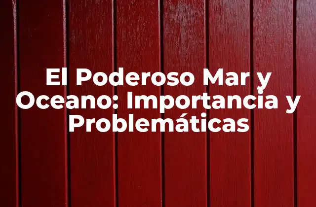 El Poderoso Mar y Oceano: Importancia y Problemáticas