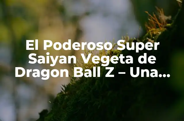 El Poderoso Super Saiyan Vegeta de Dragon Ball Z – una Guía Detallada