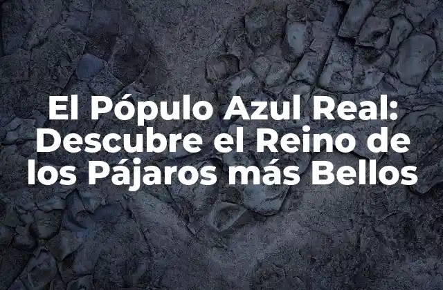 El Pópulo Azul Real: Descubre el Reino de los Pájaros Más Bellos
