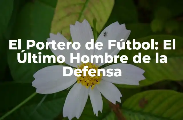 El Portero de Fútbol: el Último Hombre de la Defensa