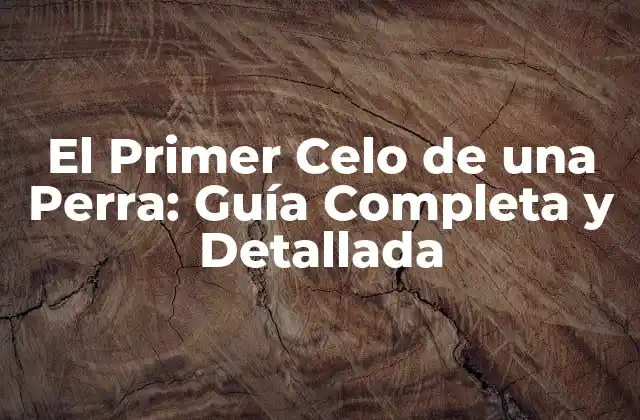 El Primer Celo de una Perra: Guía Completa y Detallada