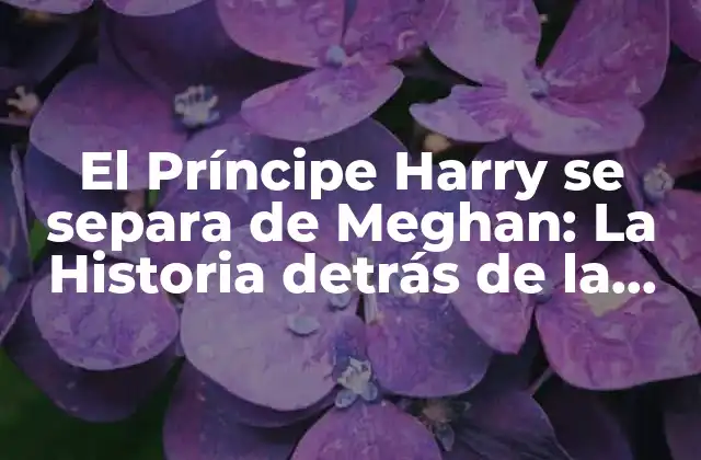El Príncipe Harry Se Separa de Meghan: la Historia Detrás de la Decisión