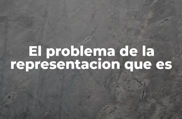 El Problema de la Representacion que es