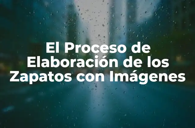 El Proceso de Elaboración de los Zapatos con Imágenes