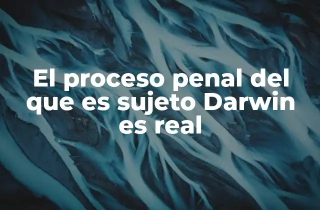 El Proceso Penal Del que es Sujeto Darwin es Real