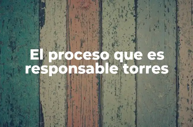El Proceso que es Responsable Torres
