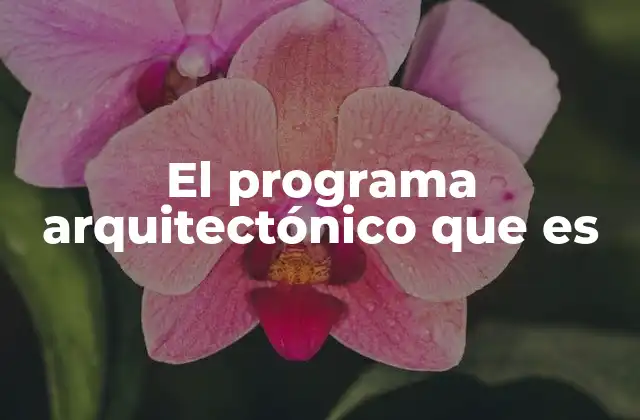 El Programa Arquitectónico que es