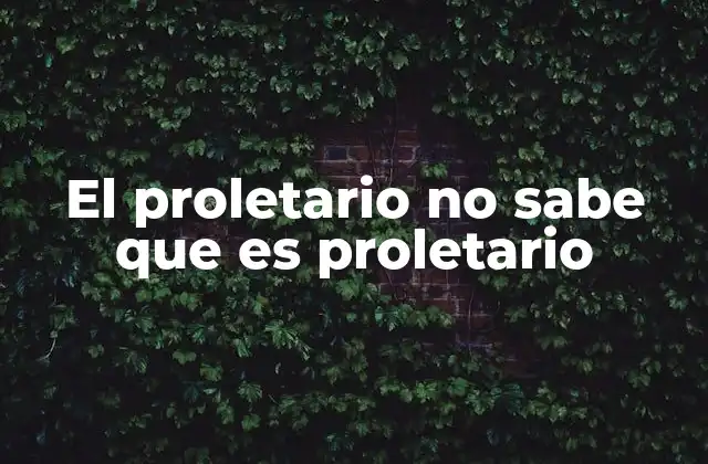 El Proletario No Sabe que es Proletario 2 La desinformación y la falta de visión colectiva en el ámbito laboral