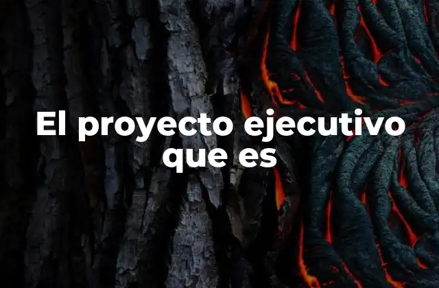 El Proyecto Ejecutivo que es
