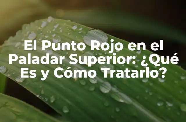 El Punto Rojo en el Paladar Superior: ¿qué es y Cómo Tratarlo?