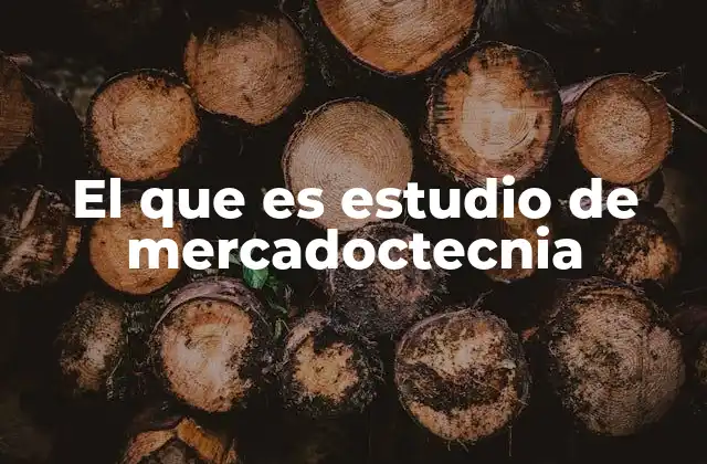 El que es Estudio de Mercadoctecnia