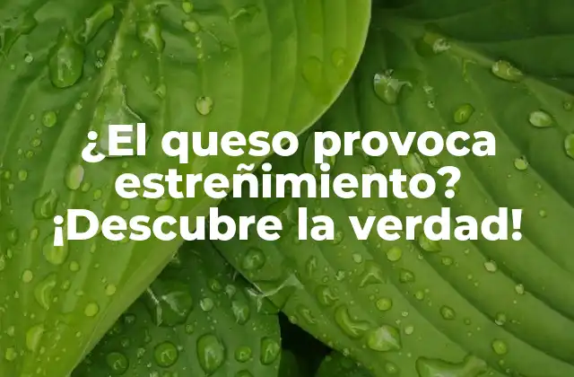 ¿el Queso Provoca Estreñimiento? ¡descubre la Verdad!