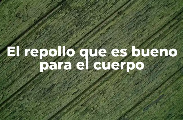 Beneficios del repollo para la salud general