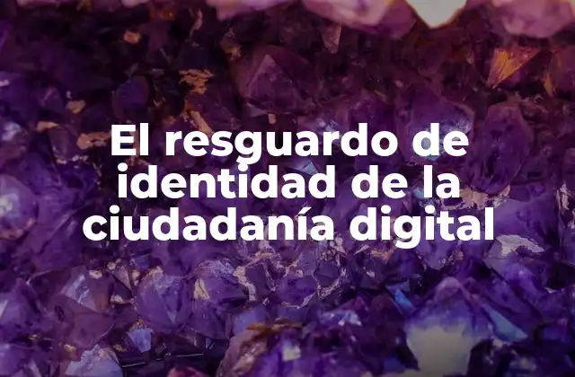 El Resguardo de Identidad de la Ciudadanía Digital
