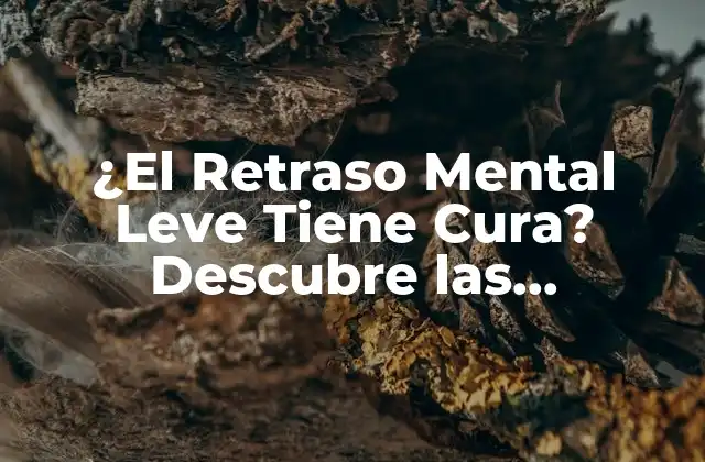 ¿el Retraso Mental Leve Tiene Cura? Descubre las Respuestas