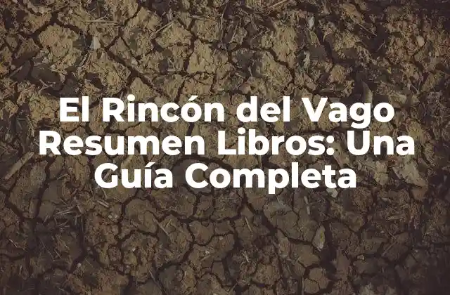 ¿Qué es El Rincón del Vago Resumen Libros?