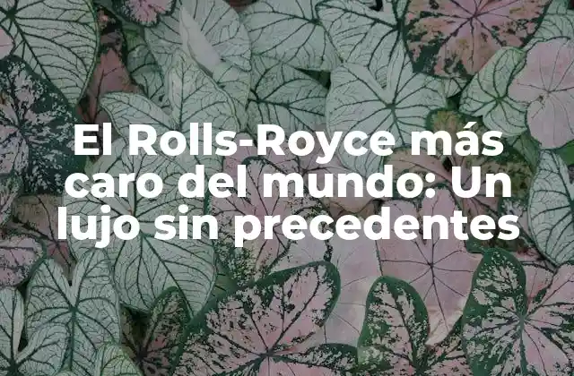El Rolls-royce Más Caro Del Mundo: un Lujo sin Precedentes 2 ¿Cuál es el precio de un Rolls-Royce estándar?