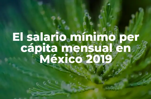 El Salario Mínimo Per Cápita Mensual en México 2019