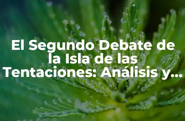El Segundo Debate de la Isla de las Tentaciones: Análisis y Detalles Del Reality Show Más Polémico