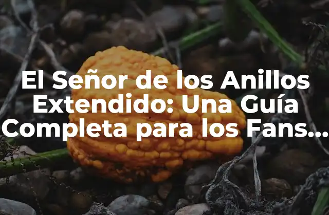 El Señor de los Anillos Extendido: una Guía Completa para los Fans de la Saga