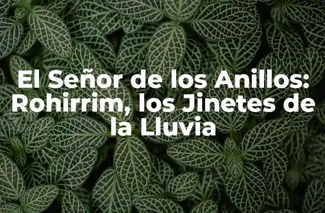 El Señor de los Anillos: Rohirrim, los Jinetes de la Lluvia